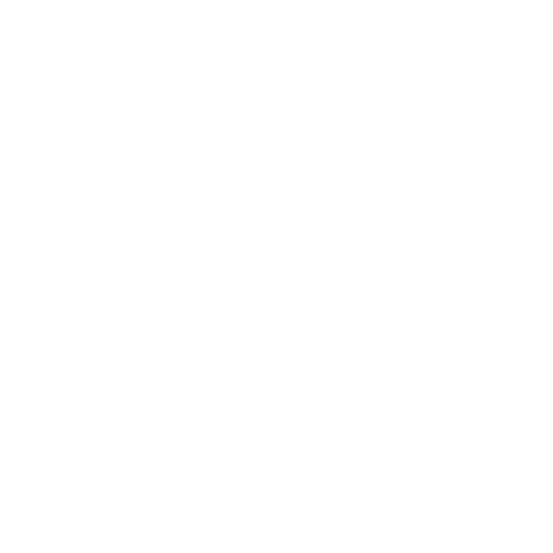 Palfinger