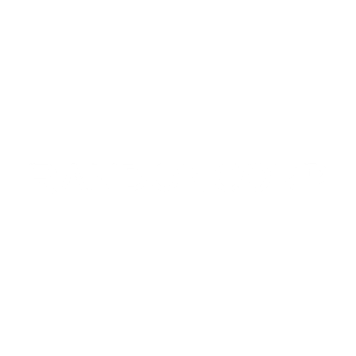 Randon Corp